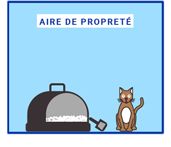 Propreté chat